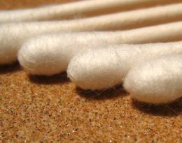 Sand Swabs